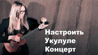 Как Настроить Укулеле Концерт | How To Tune Concert Ukulele