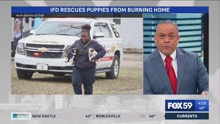 Indy firefighters save 8 puppies and their pregnant mother from burning home