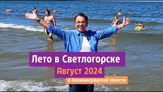 Лето в Светлогорске Калининградской области. Август 2024.