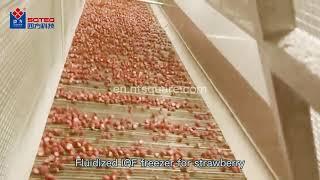 Fluidized IQF freezer for strawberry