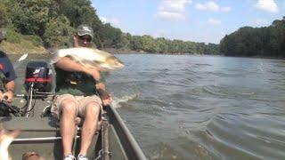 Asian Carp Jumping Frenzy!