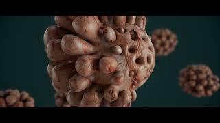 houdini to cinema 4d workflow