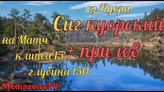 Русская Рыбалка 4 оз Куори Сиг куорский + прилов на Матч 16 07 23