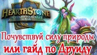 Hearthstone - Гайд для новичков, Друид