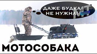 МОТОСОБАКА - ЧТО ЗА ЗВЕРЬ? рыбаки и охотники знают...