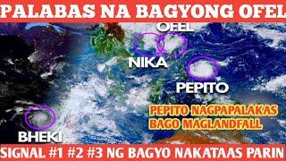 BAGYONG "Ofel"(#usagi) PALABAS NA️|SUPER TYPHOON PEPITO NAGBABANTA NA️FORECAST TODAY Nov. 15, 2024