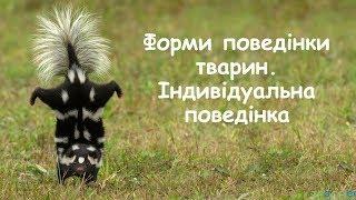 Форми поведінки тварин