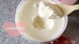 How to make Homemade Yogurt,Ricotta Cheese,Greek Yogurt,Yogurberry Yogurt maker