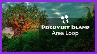 Discovery Island Area Loop (2018 - Present) - Disney's Animal Kingdom