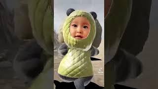 走る子パンダ #YouTube #キャプテンアメリカ #captainamerica #夫婦 #ありきたりな日常 #府中市 #上下町