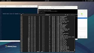 linux202307 006 basic commands almalinux