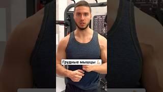 Эффективное упражнение на грудные мышцы 