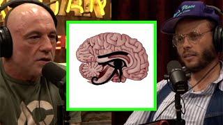 What Advanced Knowledge Did the Ancient Egyptians Have?