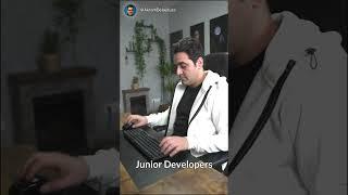 Senior developers vs junior developers 