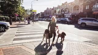 Mosman Collective. The voice of your community.