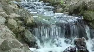 Nature water Noise with Relaxing Music Stress Relief, relaxation, peaceful sleep #stressreliefmusic