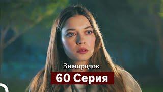 Зимородок 60 Cерия (Русский дубляж)