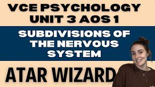 VCE Psychology Unit 3 AOS 1 Nervous System Functioning, The Nervous System