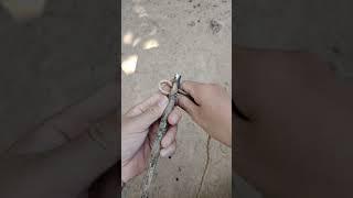 Unlocking Surprising Rope Knots. #knots #tying #knotted