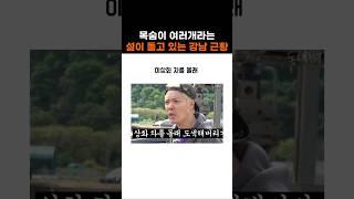 목숨이 여러개라는 설이 있는 강나미