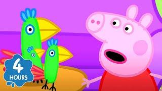 Peppa Pig Enjoying meeting a Parrot!  | Peppa Pig | Full Episodes | Cartoons for Kids