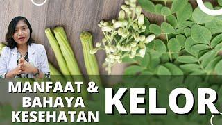 MANFAAT DAN BAHAYA KELOR UNTUK KESEHATAN | dr.Emasuperr