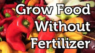 Grow Crops In Containers with NO Fertilizer