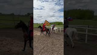 С Днём Победы!!! #лошадки #horse #лошади #моялошадь #лошадь #конноеранчо
