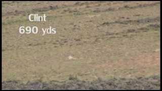 Prairie Dog Hunt - Highlight Reel - 100 to 700 yds