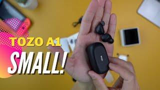 SMALLEST Bluetooth Ear Buds EVER! - TOZO A1