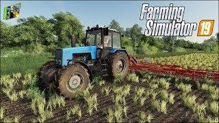 Farming Simulator 19 - Рассвет - 7 - Пропалываем и удобряем поля