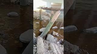 Рыбалка Тверца 15 мая 2023 г.