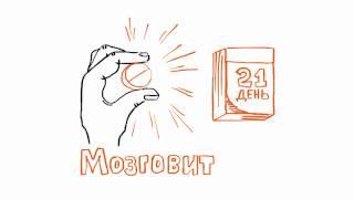 Волшебный инфовитамин «МОЗГОВИТ»