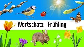 Learn German - Vocabulary: Spring