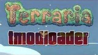 Terraria how to download Tmoadloader and Hero's mod