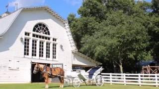 Tolemac Farm Wedding