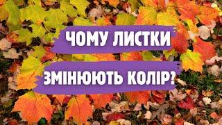 Як рослини готуються до зими? Все не так просто, як здається на перший погляд.