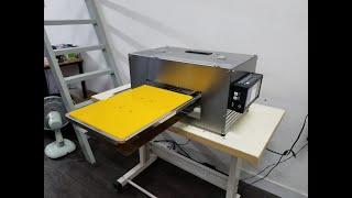 DTG L1800 Printing Printing 2 Pass (White Layer)