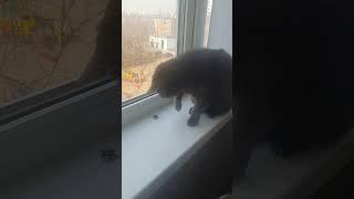 20 мая 2023 г.