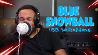 Best Budget Mic for Rap/Pop Vocals? Blue Snowball ICE USB Mic Review