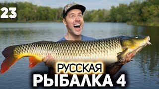 Обновляем рекорды! Идём на огромных карпов  Русская Рыбалка 4 [PC 2018] #23