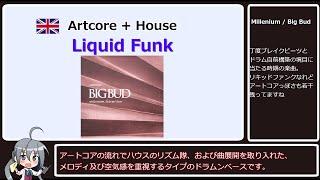 【サブジャンル解説】ドラムンベース講座 #1 Liquid Funk