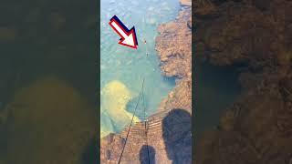 Mini Fishing Rod Amazing #fishing #cauca
