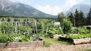 The Verge Permaculture Grad Series - 3/11 - Chrystel Vultier