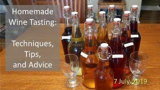 Homemade Wine Tasting:  Techniques, Tips, and  Advice