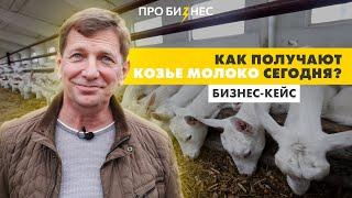 Современное козье фермерское хозяйство. Как все устроено?