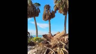 Casey Key Florida - Hurricane Milton Home Damage  #surfcoast #surfbeach #beach #Hurricane_milton