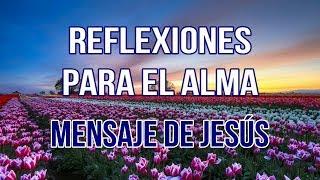 REFLEXIONES PARA EL ALMA - MENSAJE DE JESÚS