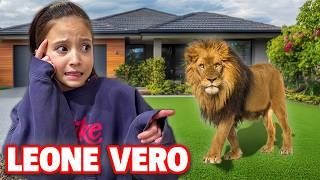 UN VERO LEONE ENTRA IN CASA NOSTRA, SCOPRIAMO CHE E' MUFASA, IL RE LEONE!