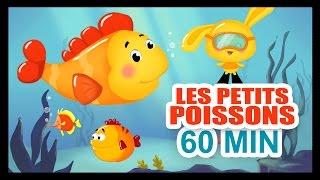 Les petits poissons dans l'eau - 1H DE COMPTINES POUR LES PETITS - Titounis